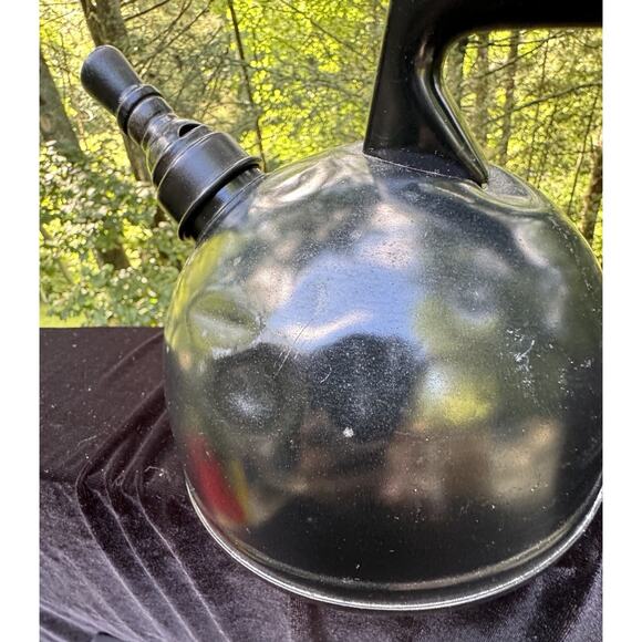 Beautifully Hand Painted Tea Kettle Pot Folk Art Farm Barn Rustic Bar Cave NC - Picture 6 of 12